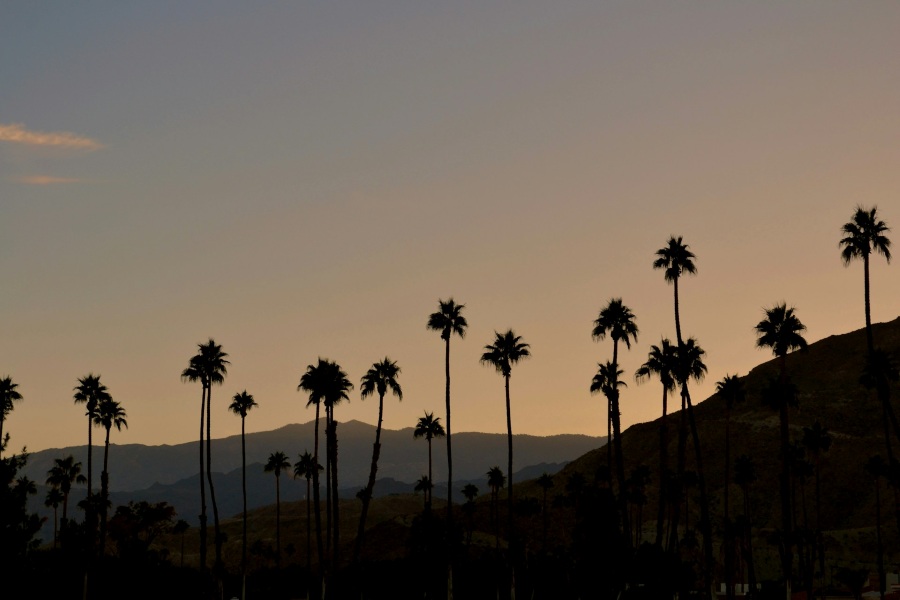 Palm Springs at Sunset