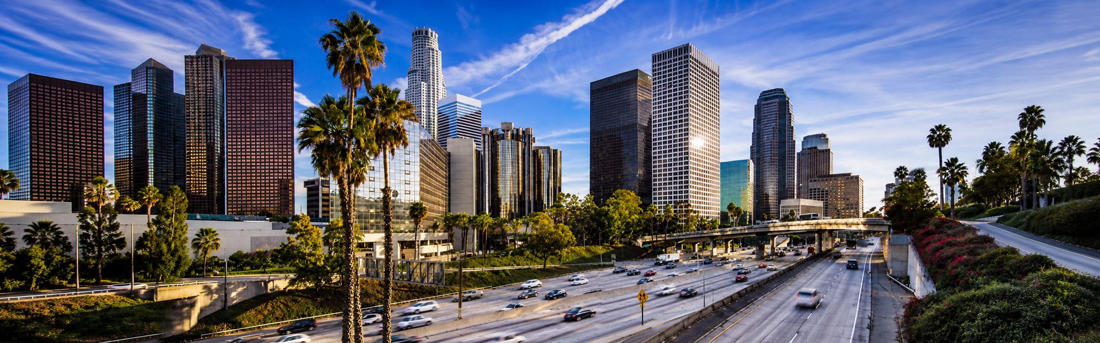 Downtown Los Angeles skyline and palm trees above the 110 freeway